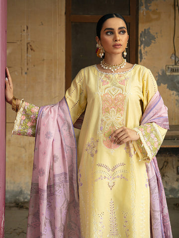 RajBari D 7B Festive Lawn Vol 14 2022 Online Shopping